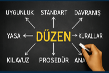 Direksiyon Eğitmeni Gelişim - Saha Mentörlüğü Programı